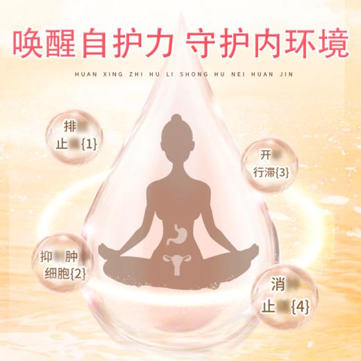 玫叶双全几太 组合装 官方旗舰店仰甘元正品 玫叶双水果 商品图4