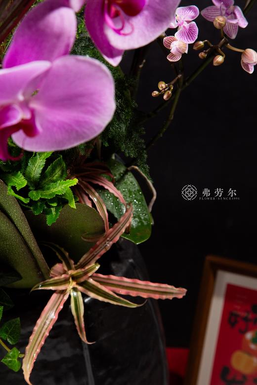 与蛇俱进 商品图6
