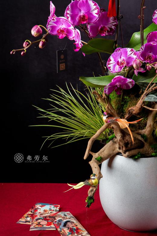 蛇身取亿 商品图1