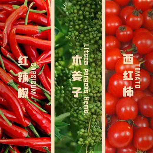 正宗贵州红酸汤60g*10袋 净素配料 汤料火锅底料 商品图3