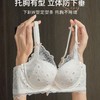 小胸聚拢显大透气内衣女上托防下垂收副乳调整型法式蕾丝性感文胸2025新款小红书爆款 商品缩略图2