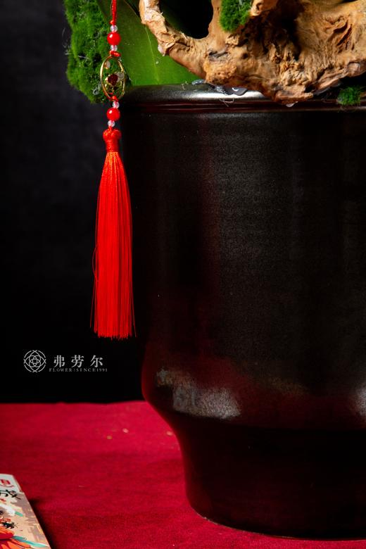 蛇采飞扬 商品图3