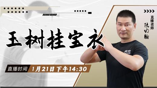 【1月21日 】玉树挂宝衣 商品图0