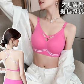 聚拢内衣女小胸显大无钢圈提拉上托收副乳防下垂美背性感无痕文胸2025新款小红书爆款