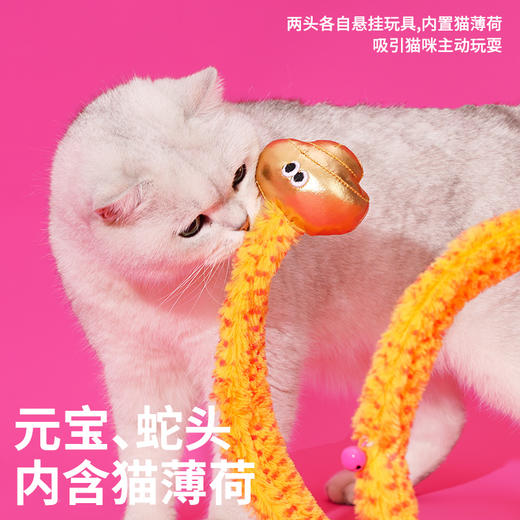zeze蛇来运转宠物隧道玩具-B （包邮） 商品图3