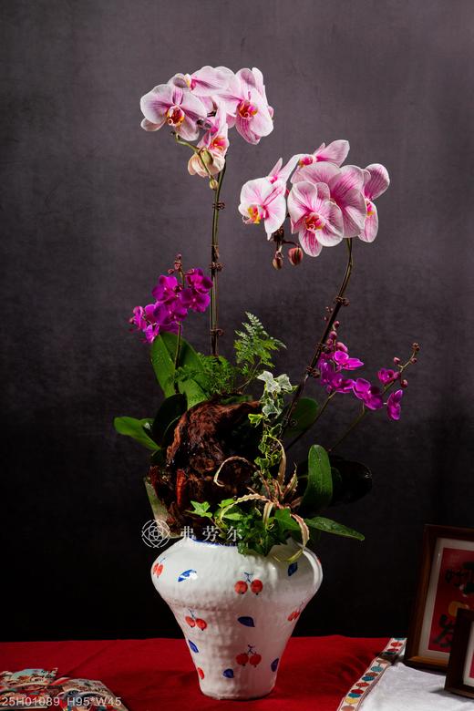 蛇么都好 商品图0