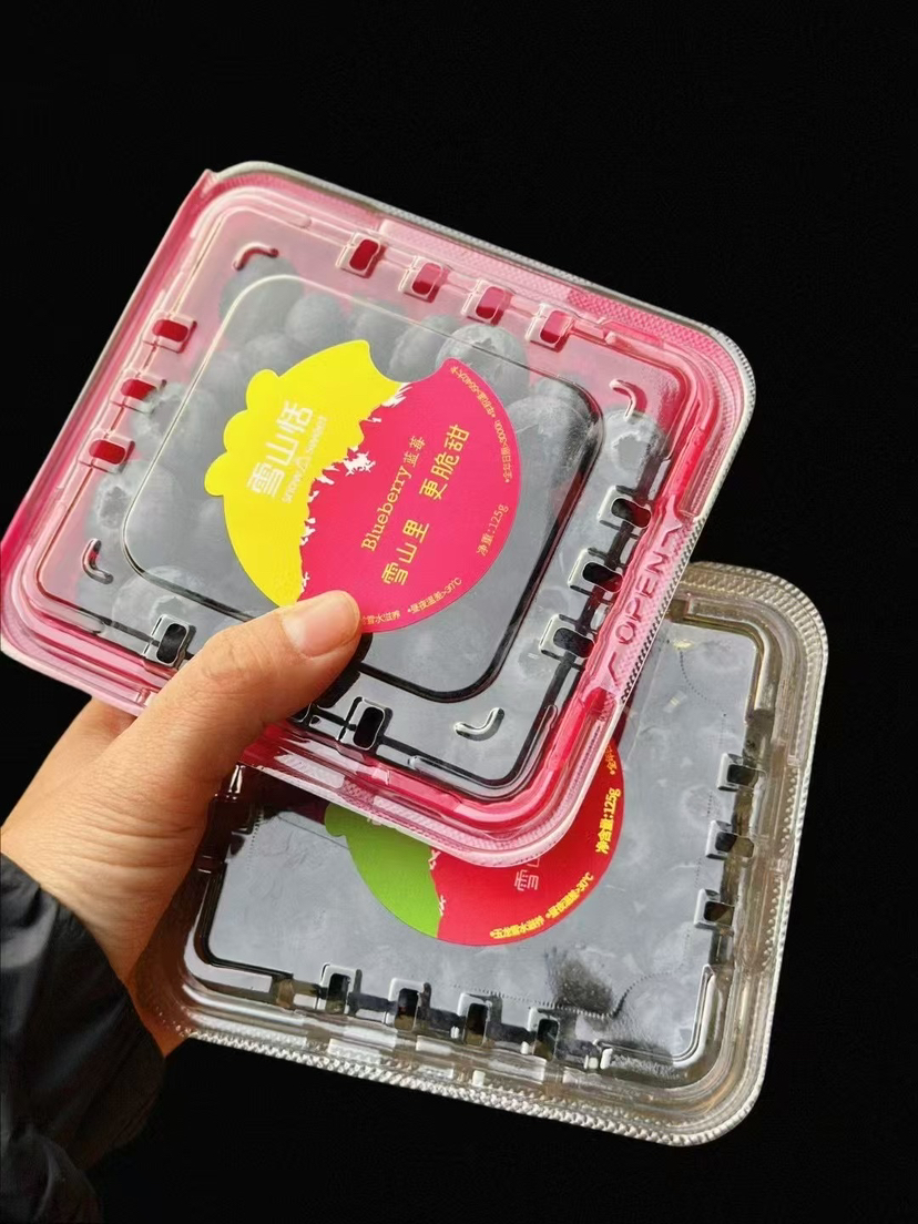 ✨必入推荐！雪山恬 L25品种蓝莓，直径12+颗粒不大，但颗颗纯甜爽脆，满满香！