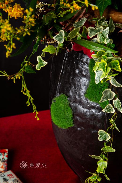 气蛇如虹 商品图6