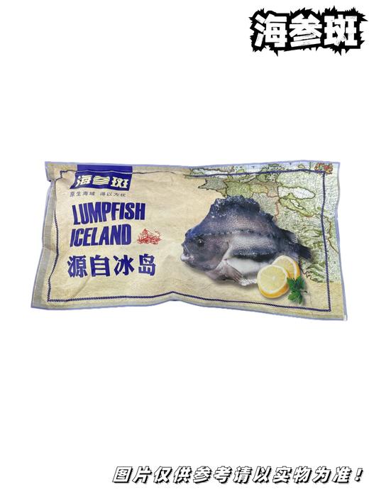 【冻品】 海参斑 鱼 商品图0