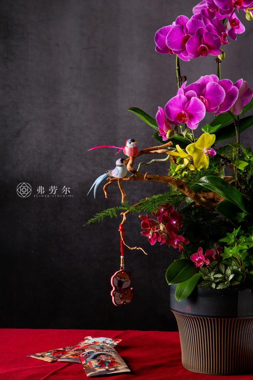 心想蛇成 商品图1