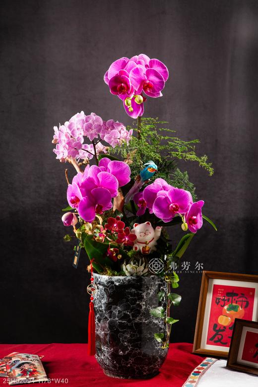 蛇舞财源 商品图0