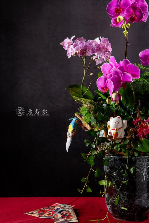 蛇来带金 商品图1