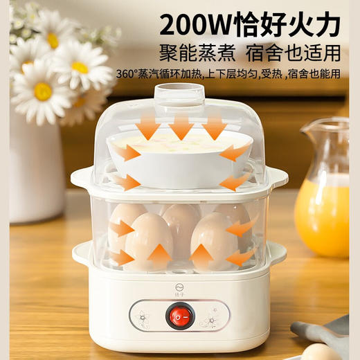 扬子蒸蛋器_ZDQ-200蒸蛋器 商品图1