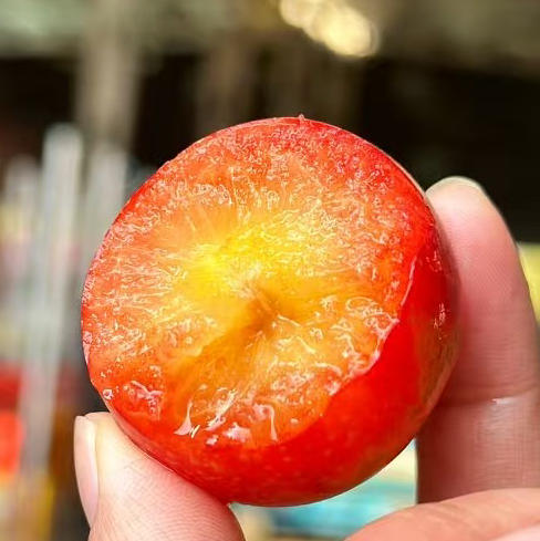 必入推荐！空运！进口樱桃李，鲜甜多汁！吃起来既像大号金车，又有李子风味，软硬都各具特色 商品图2