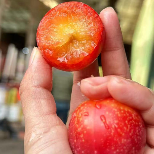 必入推荐！空运！进口樱桃李，鲜甜多汁！吃起来既像大号金车，又有李子风味，软硬都各具特色 商品图3