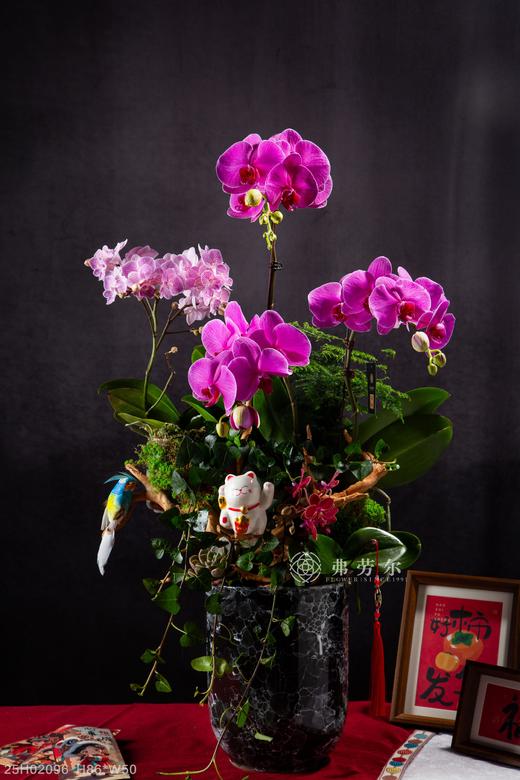 蛇来带金 商品图0