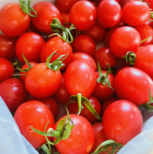 【一定要多吃瘦身糖丸千禧果】来自海沙地的小甜番，瘦身的精髓就在这！瘦就现在！ 商品图3