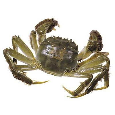 大公河蟹　螃蟹　一斤3-4只上下（送货路上不保活）
