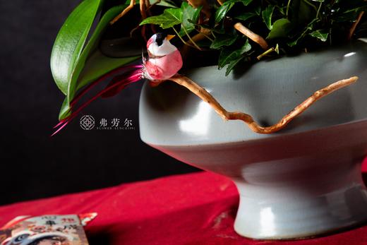 大显蛇通 商品图3