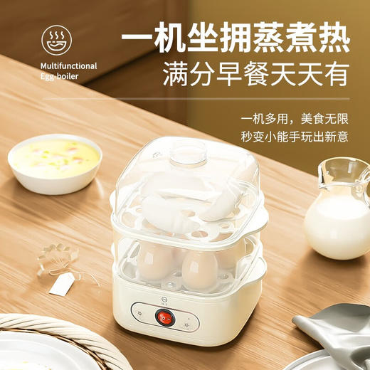 扬子蒸蛋器_ZDQ-200蒸蛋器 商品图0