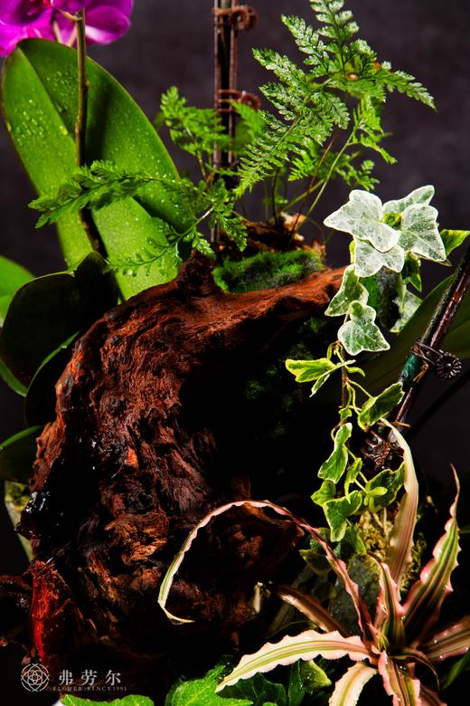 蛇么都好 商品图1