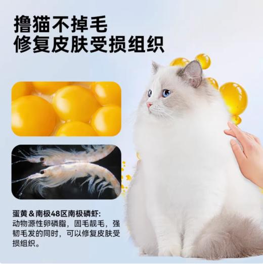 鲜能说sod全价美毛猫粮防掉毛美毛猫咪成幼猫美毛亮毛猫粮1.5kg 商品图2