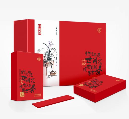 墨君茯茶鸿运当头—泾阳茯茶陕西特产礼品茶金花茶 商品图3