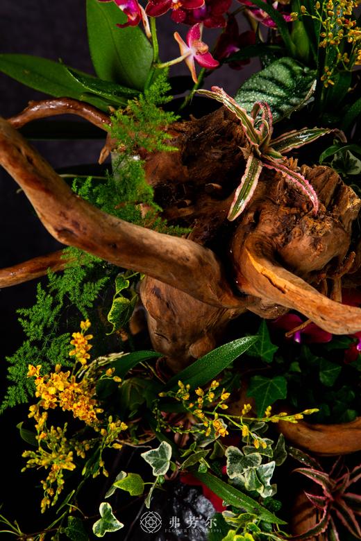 气蛇如虹 商品图3