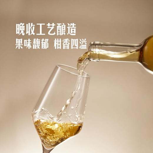 MM 山姆 Hattyus Late Harvest匈牙利进口 托卡伊伊鸿晚收甜白葡萄酒 500ml 商品图1