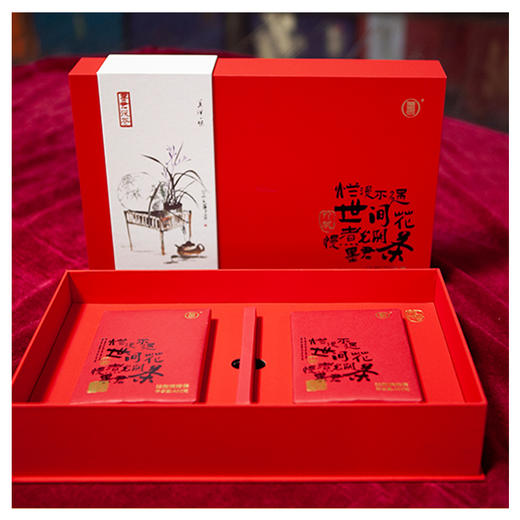 墨君茯茶鸿运当头—泾阳茯茶陕西特产礼品茶金花茶 商品图1