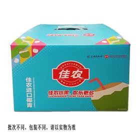 易开椰（礼盒）包装随机发货