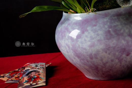 蛇颜悦色 商品图3