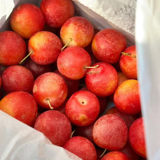 必入推荐！空运！进口樱桃李，鲜甜多汁！吃起来既像大号金车，又有李子风味，软硬都各具特色 商品图7