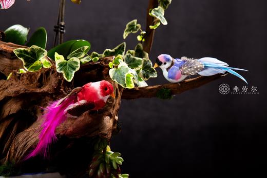 喜蛇临门 商品图2