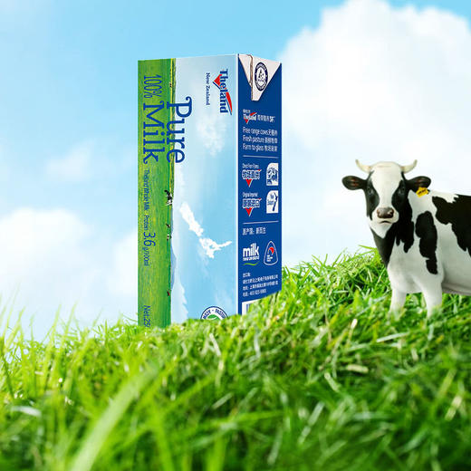 MM 山姆 纽仕兰牧场 全脂牛奶 250ml*24 商品图3