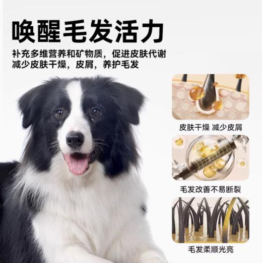 鲜能说sod全价美毛狗粮美毛防掉毛三文鱼磷虾配方成幼犬粮1.5kg 商品图4