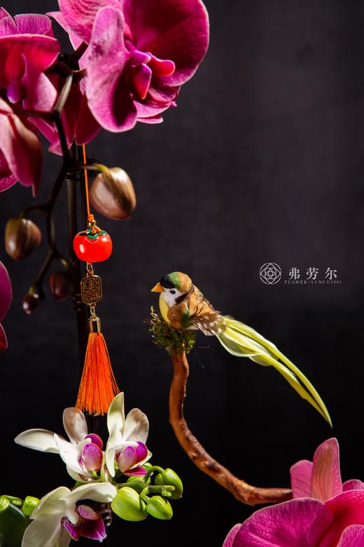 大显蛇通 商品图2