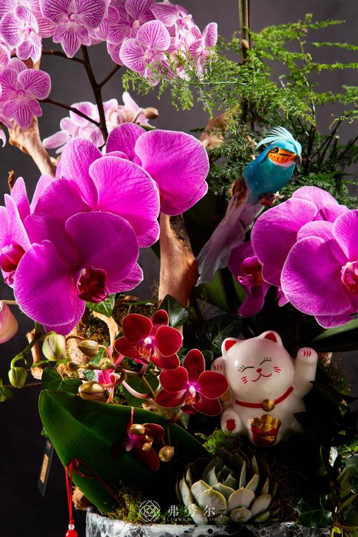 蛇舞财源 商品图1