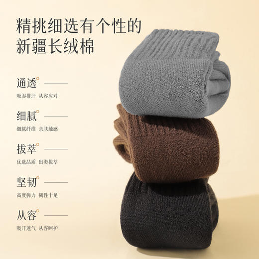 【3双装】秋冬加绒加厚毛圈袜中筒袜保暖锁温抗寒防滑不掉男袜子针织暖绒袜 商品图2