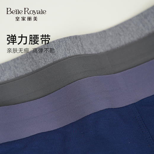 【99元3条，数量拍3】皇家丽美四季穿四角裤新款无痕透气平角裤衩男士底裤内裤DKN1241 商品图4