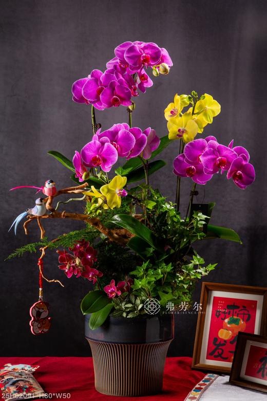 心想蛇成 商品图0