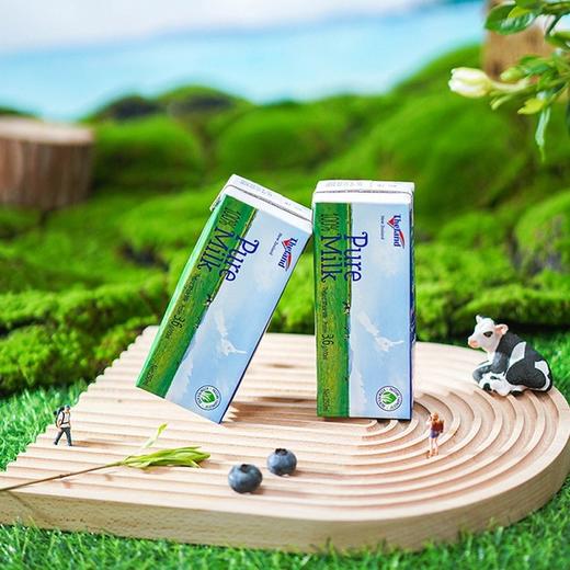 MM 山姆 纽仕兰牧场 全脂牛奶 250ml*24 商品图2