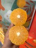 糖嫣柚 巨水巨甜 柚子的外表 橙橘的内心 商品缩略图2