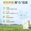 璞匠有机姜丸云南小黄姜丸纯姜丸非生姜粉官方旗舰店干生姜老姜丸 商品缩略图4