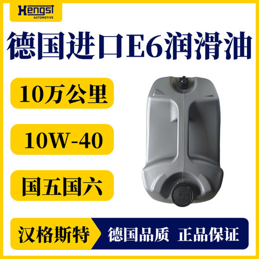 汉格斯特E6国六柴机油10万公里20L燃油燃气发动机通用 商品图2