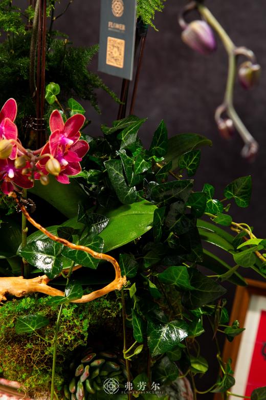 金蛇暴富 商品图2