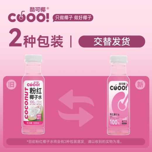 酷可椰NFC粉红椰子水300ml*8瓶泰国香水椰饮料非浓缩还原0添包邮 商品图5