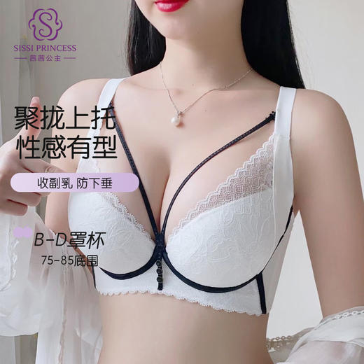 丝语法式性感云感棉文胸 茜茜公主聚拢小胸显大性感上托防下垂中厚杯文胸收副乳内衣女 商品图2
