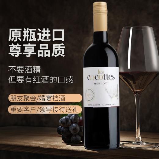 雷古特脱醇葡萄酒脱醇干红 无醇葡萄酒750ml A-4016 商品图2