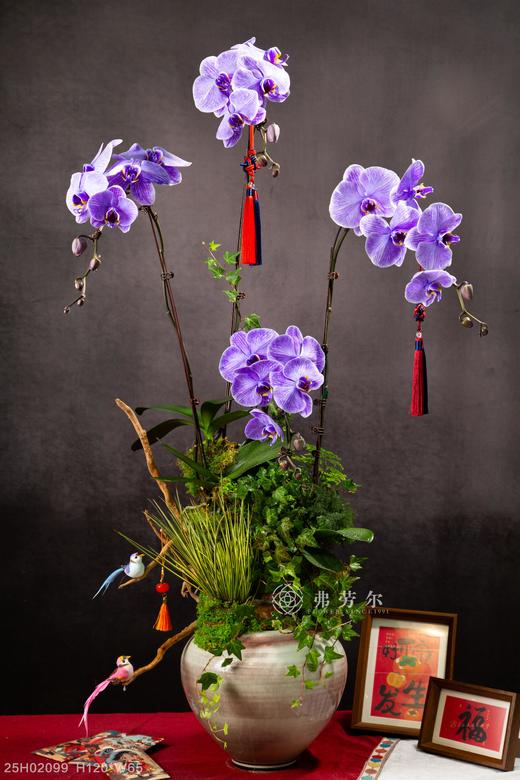 蛇运亨通 商品图0